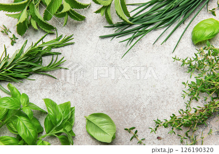 Fresh herbs bordering a rustic gray background for culinary designs Fresh herbs bordering a rustic gray background for culinary designs 126190320