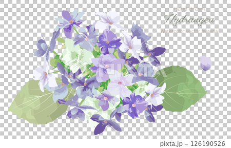 水彩畫繡球花(紫色)插畫素材集 水彩畫繡球花(紫色)插畫素材集 126190526