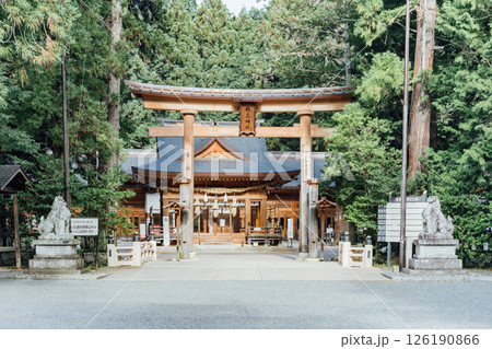 ＜安曇野＞穗髙神社　本宮 126190866