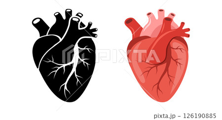 Human heart icon. Red and black Internal organ. Cardiology and anatomy concept. Medical Vector illustration in flat cartoon style Human heart icon. Red and black Internal organ. Cardiology and anatomy concept. Medical Vector illustration in flat cartoon style 126190885