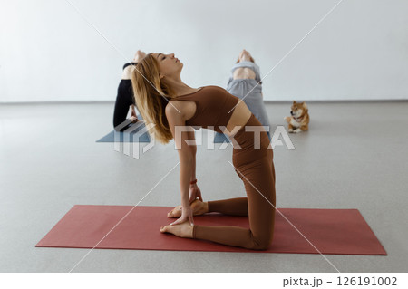 Group of athletic girls doing asana Ustrasana camel kneeling pose during group yoga course in fitness studio Group of athletic girls doing asana Ustrasana camel kneeling pose during group yoga course in fitness studio 126191002