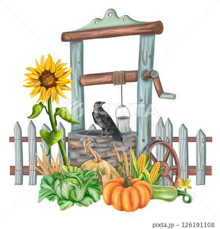 Autumn garden arrangement with a garden well and a harvest of seasonal vegetables. Pumpkins, zucchini, sunflowers, cabbage, corn. Backyard decor, farm fields, vegetable garden. Isolated illustration Autumn garden arrangement with a garden well and a harvest of seasonal vegetables. Pumpkins, zucchini, sunflowers, cabbage, corn. Backyard decor, farm fields, vegetable garden. Isolated illustration 126191108