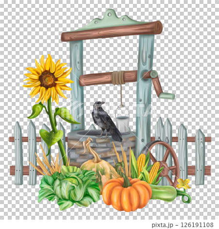 Autumn garden arrangement with a garden well and a harvest of seasonal vegetables. Pumpkins, zucchini, sunflowers, cabbage, corn. Backyard decor, farm fields, vegetable garden. Isolated illustration 126191108