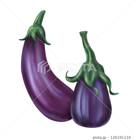 Autumn harvest of purple eggplant. Fresh farm vegetables, healthy food, vegetarianism. Garden plants and agriculture. Isolated digital handmade illustration. A graphic design element Autumn harvest of purple eggplant. Fresh farm vegetables, healthy food, vegetarianism. Garden plants and agriculture. Isolated digital handmade illustration. A graphic design element 126191110