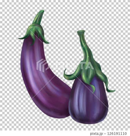 Autumn harvest of purple eggplant. Fresh farm vegetables, healthy food, vegetarianism. Garden plants and agriculture. Isolated digital handmade illustration. A graphic design element Autumn harvest of purple eggplant. Fresh farm vegetables, healthy food, vegetarianism. Garden plants and agriculture. Isolated digital handmade illustration. A graphic design element 126191110