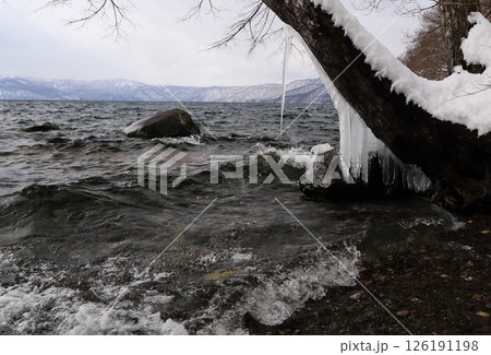 湖畔の樹木に着氷したツララ 126191198