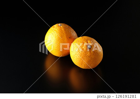 小玉の不知火を黒背景で撮影 小玉の不知火を黒背景で撮影 126191281