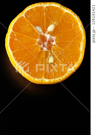 小玉の不知火を黒背景で撮影 126191421