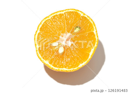 小玉の不知火を白背景で撮影 126191483