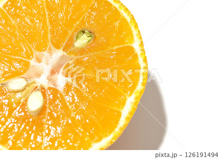 小玉の不知火を白背景で撮影 126191494