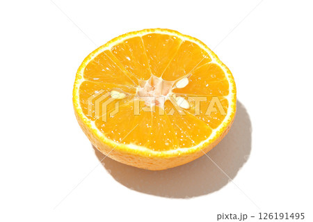 小玉の不知火を白背景で撮影 小玉の不知火を白背景で撮影 126191495