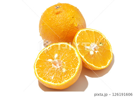 小玉の不知火を白背景で撮影 小玉の不知火を白背景で撮影 126191606