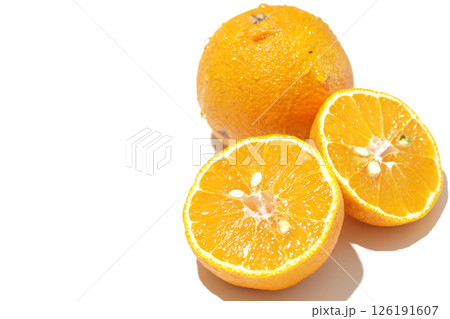 小玉の不知火を白背景で撮影 126191607