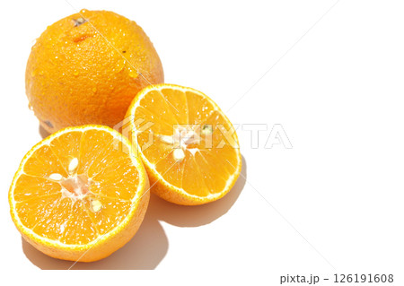 小玉の不知火を白背景で撮影 小玉の不知火を白背景で撮影 126191608