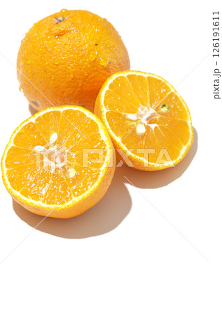 小玉の不知火を白背景で撮影 126191611