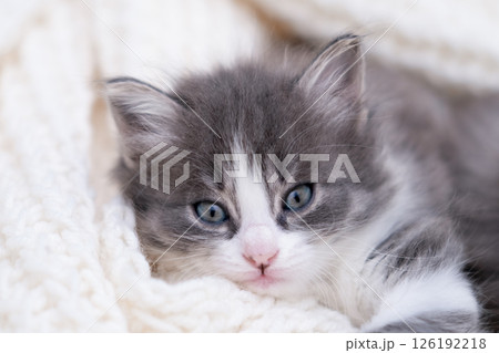 Generated image 126192218