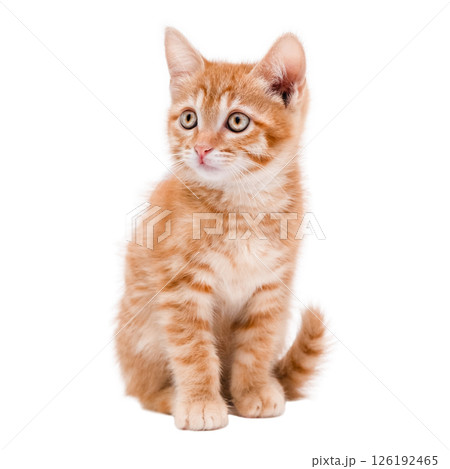 Generated image Generated image 126192465