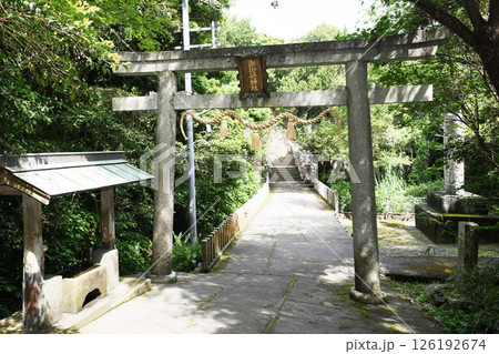 【串本町　吉野熊野国立公園「潮御崎神社」参道と鳥居】 126192674