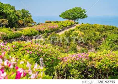 伊勢志摩スカイライン 朝熊山頂展望台 朝熊山自然歩道 126192743