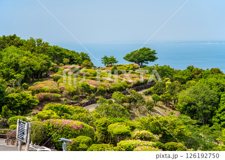 伊勢志摩スカイライン 朝熊山頂展望台 朝熊山自然歩道 126192750