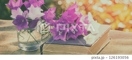 Old shabby book and flowers in the garden on a sunny day. Horizontal banner 126193056