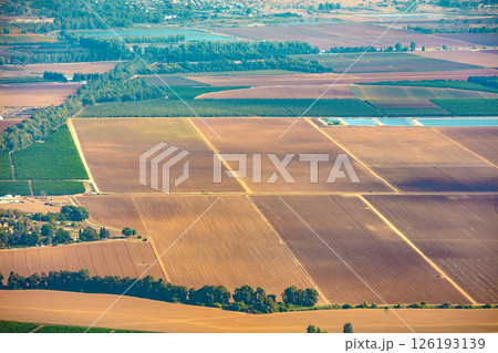 Aerial view of olive groves plowed fields and pons. Agricultural grounds. Northern Israel 126193139