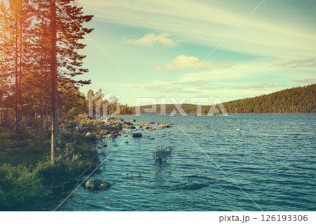 Trees on the rocky shore of a lake in front of the mountains Trees on the rocky shore of a lake in front of the mountains 126193306