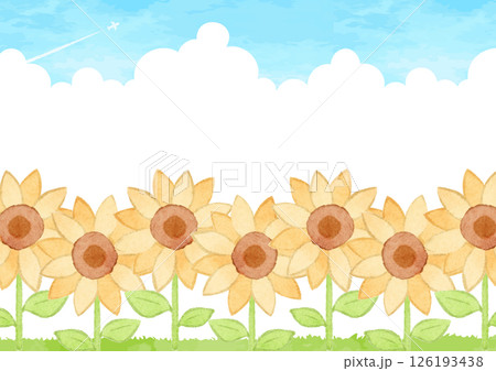 ヒマワリの咲く花畑と青空の背景イラスト 126193438