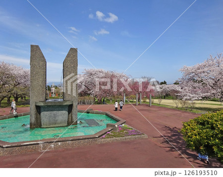 桜満開の道の駅「YOU・遊・もり」 森町道の駅 オニウシ公園 花見 桜満開の道の駅「YOU・遊・もり」 森町道の駅 オニウシ公園 花見 126193510