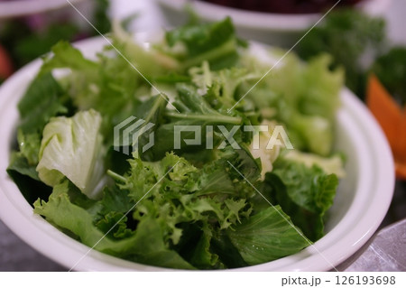 Fresh organic green leaves lettuce salad plant in hydroponics vegetables farm system Fresh organic green leaves lettuce salad plant in hydroponics vegetables farm system 126193698