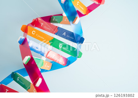 DNA or Deoxyribonucleic acid is a double helix chains structure formed by base pairs attached to a sugar phosphate backbone. 126193802