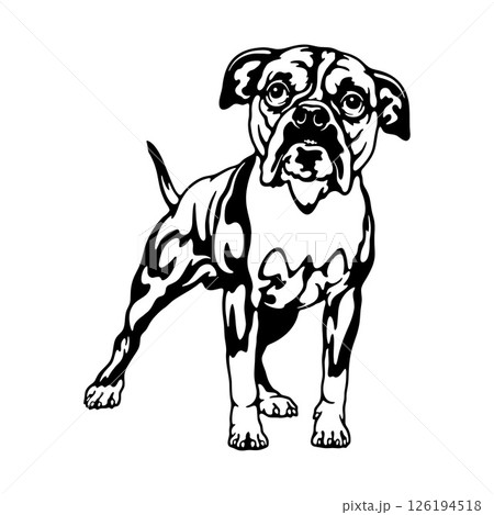 Staffordshire Bull Terrier Dog Breed - Pet Vector Cut file, Dog Silhouette Stencil - Cricut file Staffordshire Bull Terrier Dog Breed - Pet Vector Cut file, Dog Silhouette Stencil - Cricut file 126194518