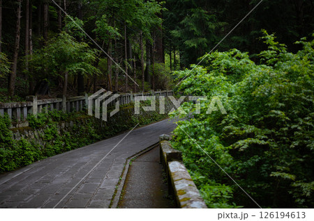 緑に囲まれた道 126194613