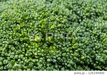 Green Broccoli Head with Detailed Texture 126194900