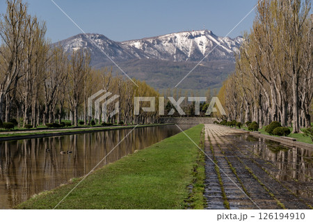 前田森林公園の春 126194910