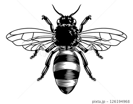 Queen Bumble Bee Honeybee Vintage Illustration Queen Bumble Bee Honeybee Vintage Illustration 126194968