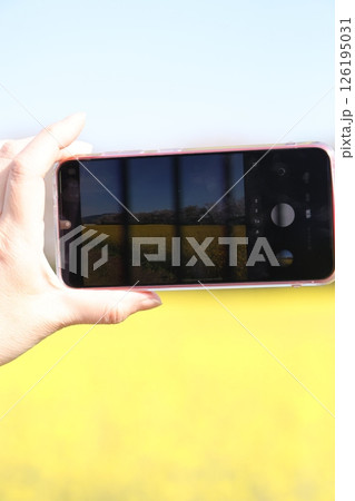 スマホと菜の花 126195031