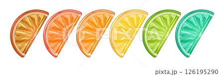 Colorful Citrus Slices in Gradient Spectrum 126195290