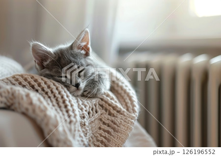 Fluffy young little cat relaxing on warm radiator with plaid against white wall. Gray kitten is sleeping in funny pose. Cold season. Banner for website. Pet cat warming up near heater. Heating. 126196552