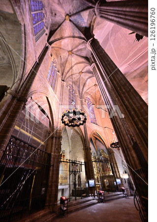バルセロナ大聖堂（サンタ･エウラリア大聖堂） 126196760