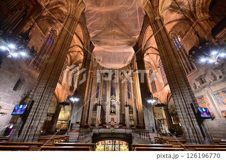バルセロナ大聖堂（サンタ･エウラリア大聖堂） 126196770