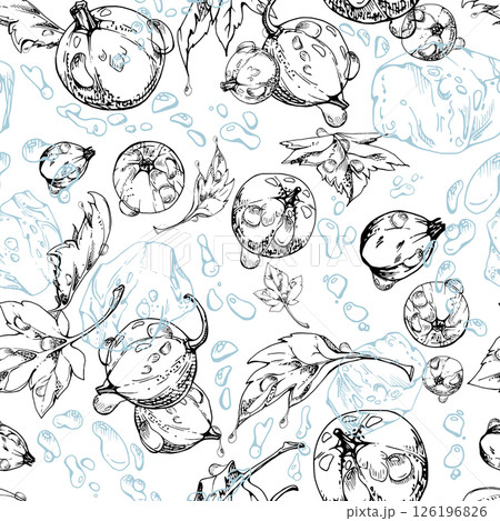 Currant gooseberry flying in water splash with green leaves, ice cubes, dew drops, ripe garden juneberry casseille jostaberry. Isolated seamless pattern hand drawn in vector ink. Craft drinks, grocery Currant gooseberry flying in water splash with green leaves, ice cubes, dew drops, ripe garden juneberry casseille jostaberry. Isolated seamless pattern hand drawn in vector ink. Craft drinks, grocery 126196826