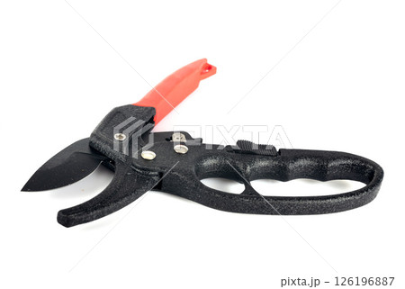 red secateurs in studio 126196887