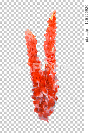 Red coral branch painted in watercolor. Textured marine element perfect for ocean-themed projects, tropical reef designs, aquarium visuals, biology materials, scuba diving and travel illustrations 126196920