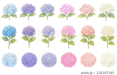 水彩風あじさいのセットイラスト素材｜色別・形状別で使える花パーツ集 126197195