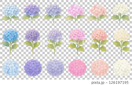 Set of watercolor-style hydrangea illustrations | A collection of flower parts that can be used by color and shape 126197195