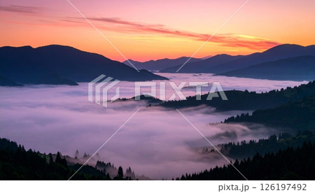 Pink sunrise over a valley with beautiful flowers and thick fog Pink sunrise over a valley with beautiful flowers and thick fog 126197492