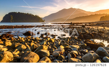 Rocky coast at sunset with mountains and river in the background. 126197628