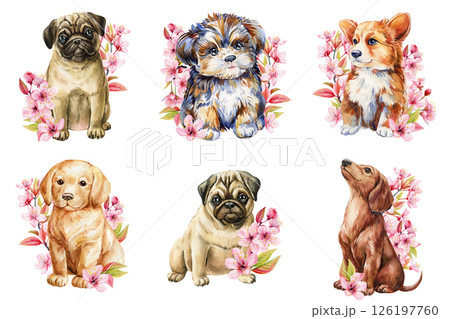 Cute Watercolor Pug Puppy Sitting with Pink Cherry Blossoms, Adorable Dog Clipart for Nursery Decor, Greeting Cards, Prints Cute Watercolor Pug Puppy Sitting with Pink Cherry Blossoms, Adorable Dog Clipart for Nursery Decor, Greeting Cards, Prints 126197760