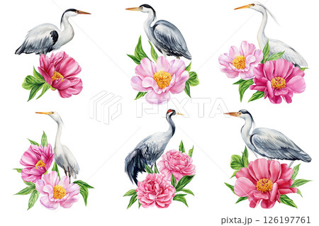 Watercolor birds with pink peony flowers, herons and cranes floral composition, Asian nature art, elegant botanical illustration 126197761